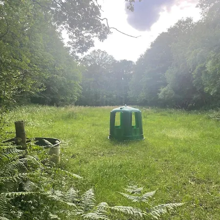 Les Logis Du Landron Гостевой дом Plesse