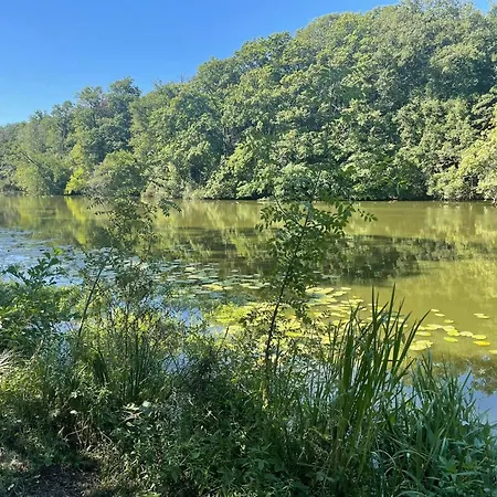 Les Logis Du Landron Гостевой дом Plesse