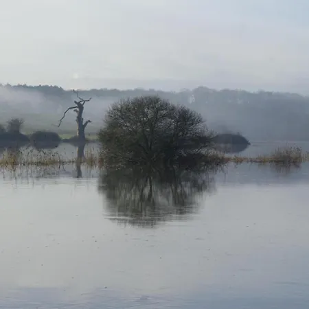 Гостевой дом Les Logis Du Landron *