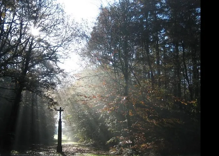 Гостевой дом Les Logis Du Landron Plesse