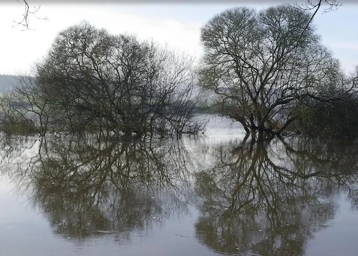 Les Logis Du Landron Гостевой дом