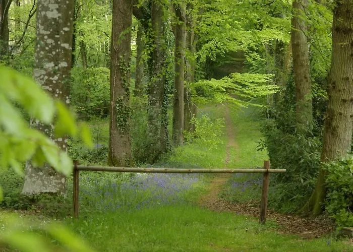 Les Logis Du Landron Гостевой дом Plesse