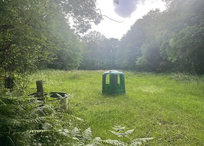 Les Logis Du Landron Гостевой дом Plesse