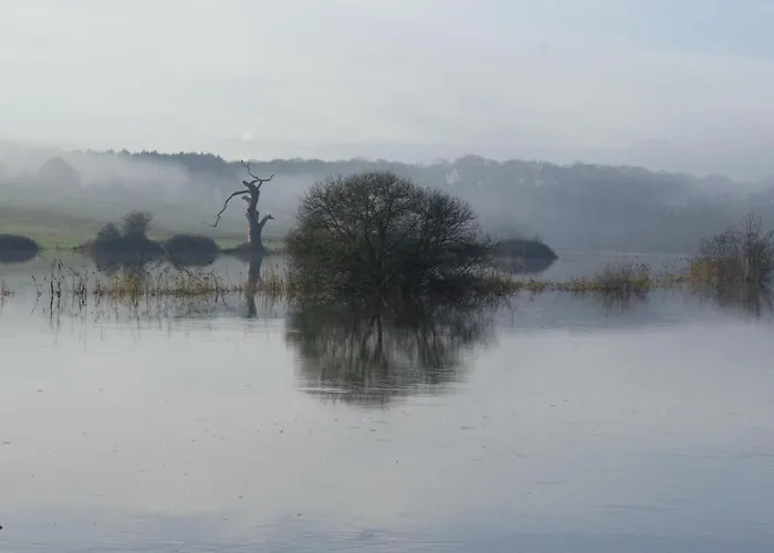Гостевой дом Les Logis Du Landron *